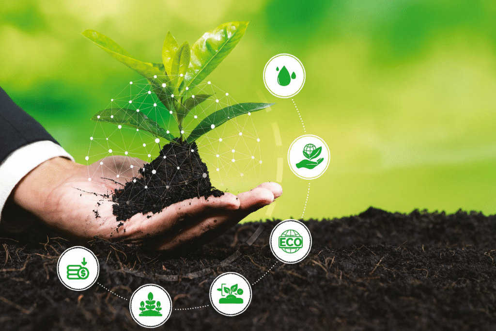 chatgpt image nov 26, 2025, 09 27 20 am