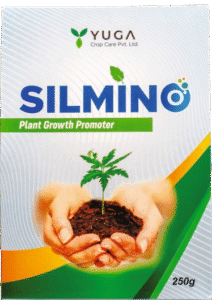 screenshot 338 removebg preview