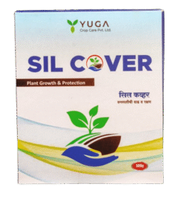 screenshot 340 removebg preview