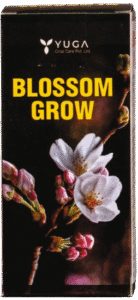 screenshot 347 removebg preview