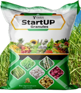 screenshot 348 removebg preview