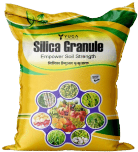 screenshot 349 removebg preview