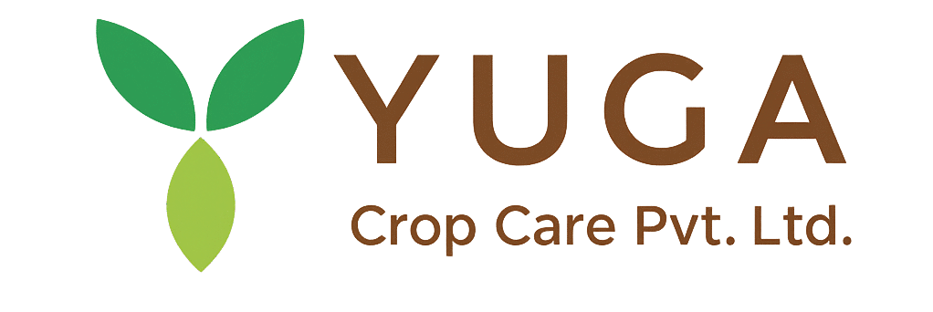 chatgpt image nov 21, 2025, 05 13 02 pm